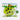 Giant Cookie Taba Squishy - TABASQUISHY®