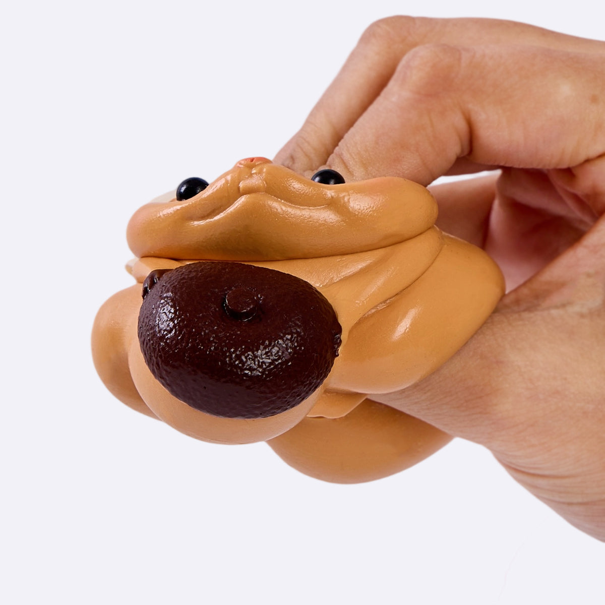 Squirrel with Aacorn Taba Squishy