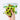 Giant Cookie Taba Squishy - TABASQUISHY®