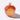 Acorn Chew