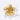 Gold Star Star