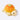 Orange Turtle