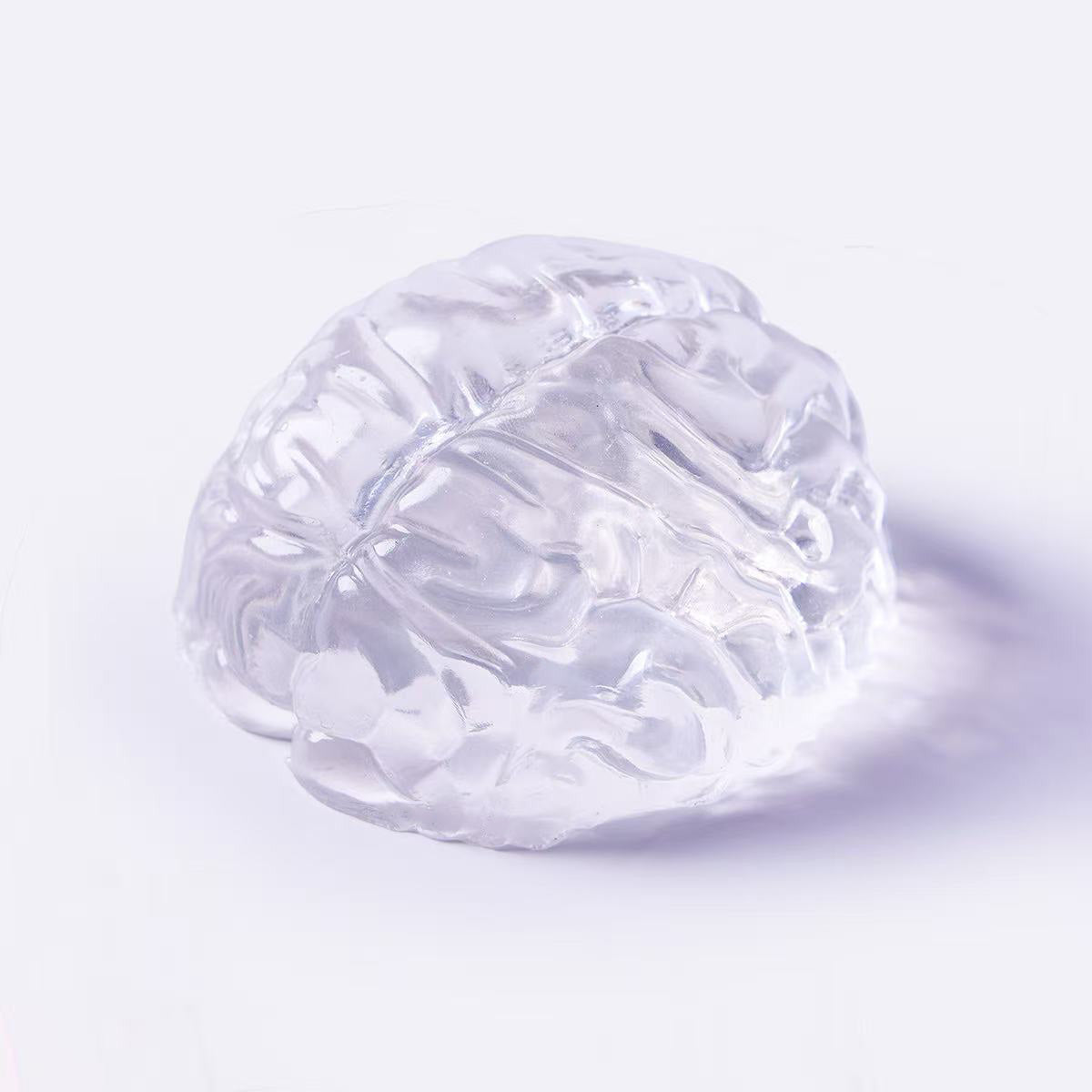 Clear Brain Taba Squishy