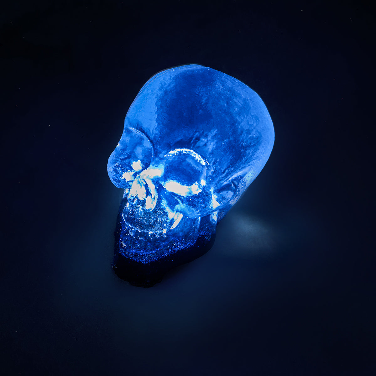 100g Clear Skull with Light Taba Squishy