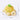 Pineapple Turtle