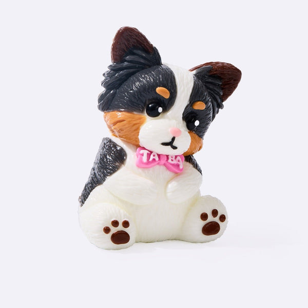 Border Collie Squishy – Sheepdog Squeeze Toy | TABASQUISHY®
