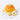 Orange Turtle
