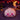 TABASQUISHY®️ Halloween Dumpling Squishy – Stitched Ghost